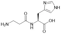 L-Carnosine L-Carnosine